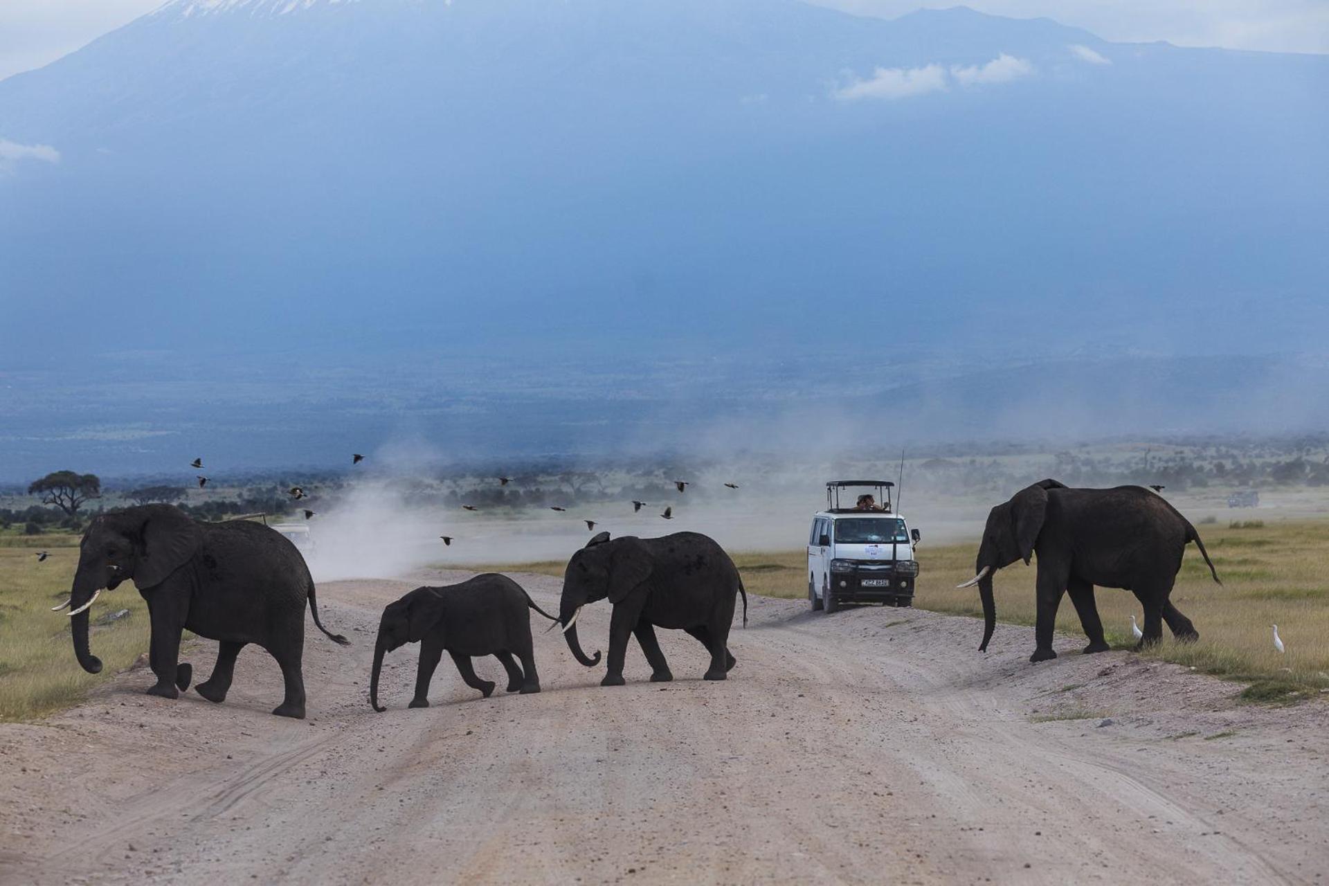 Kilimanjaro View Cabin-Amboseli Oloitokitok Zimmer foto